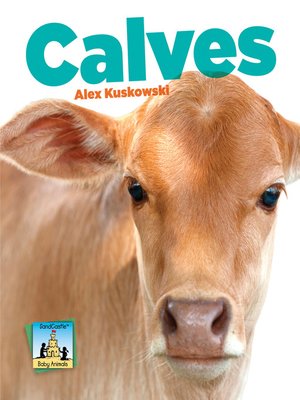 cover image of Calves
